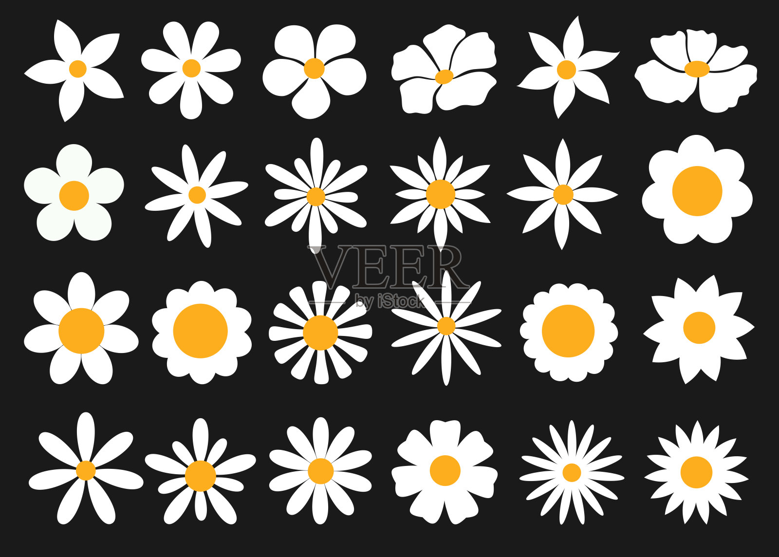 白色花卉剪贴画绘图集。白色和黄色的春季花卉合集,如雏菊、洋甘菊、非洲菊、向日葵、水仙花。插画图片素材