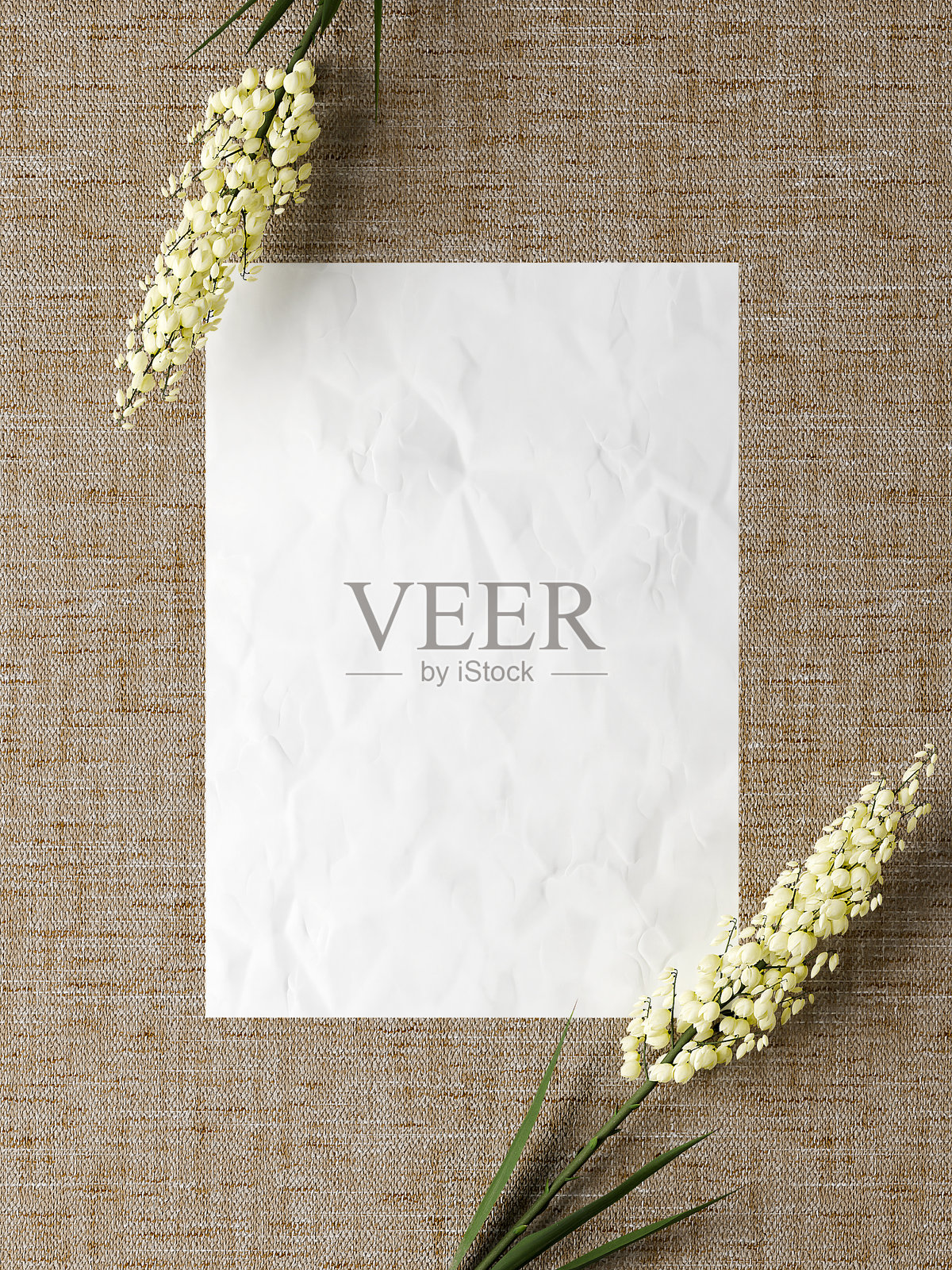 海报模拟场景与质朴的天然材料和龙舌兰花照片摄影图片