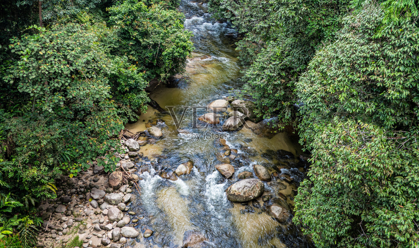 东南亚丛林中的热带风景,湖泊和河流照片摄影图片