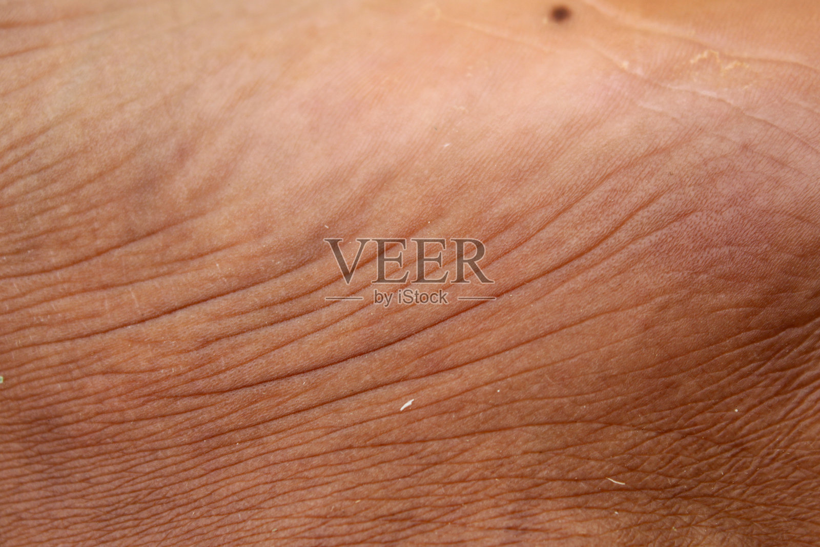 男性腿部皱纹肌肤纹理照片摄影图片