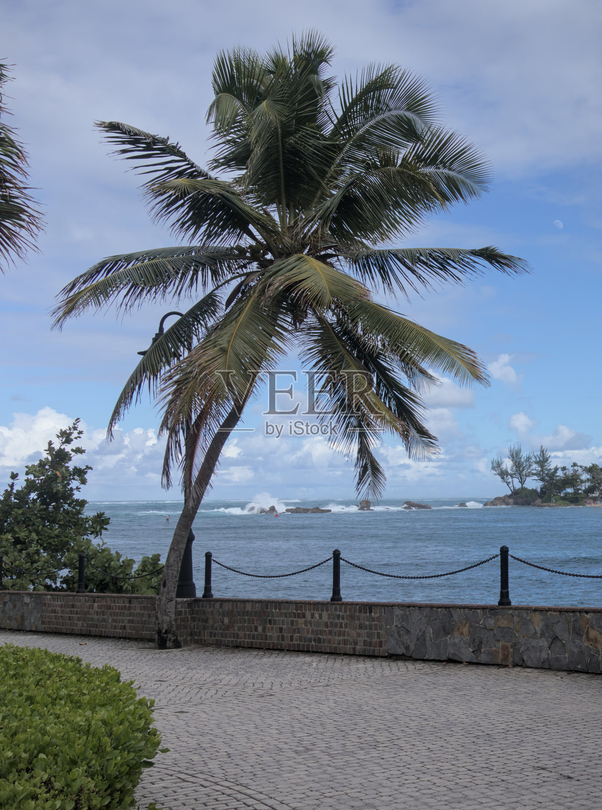 波多黎各老圣胡安的棕榈树(靠近历史悠久的西班牙堡垒遗址德尔莫罗),美丽的棕榈树在日落时分,加勒比海岛屿目的地,国家公园,殖民建筑,旅游胜地。照片摄影图片