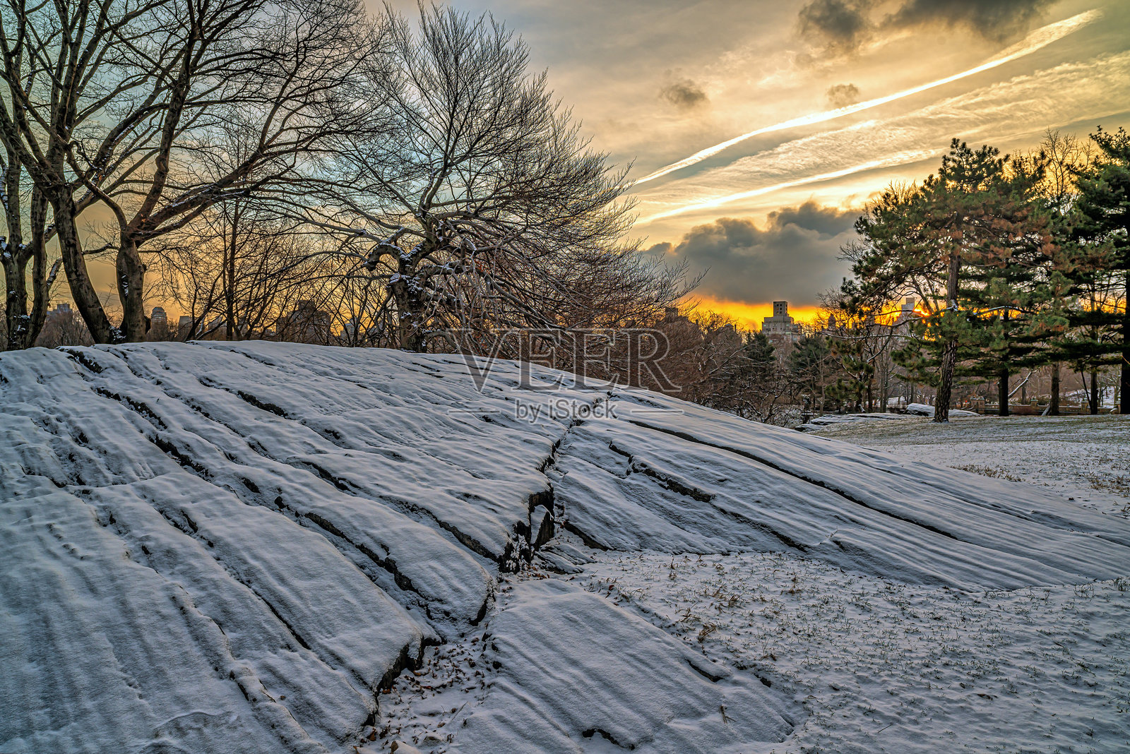 中央公园照片摄影图片