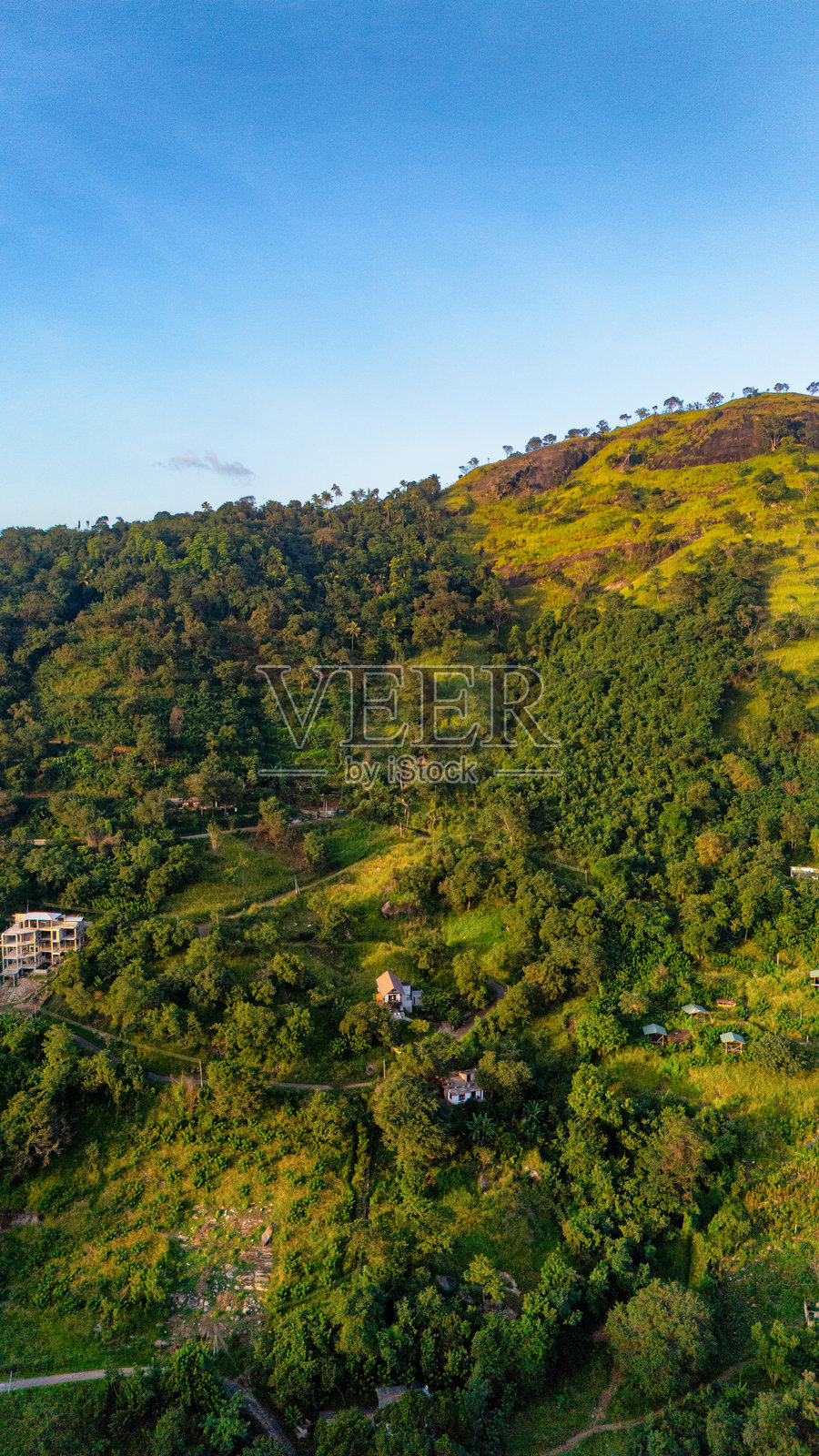 斯里兰卡郁郁葱葱的绿色山丘在晴朗的天空下。风景如画的斯里兰卡山丘被生机勃勃的绿意覆盖,展现了大自然在宁静蓝天下的美丽。照片摄影图片