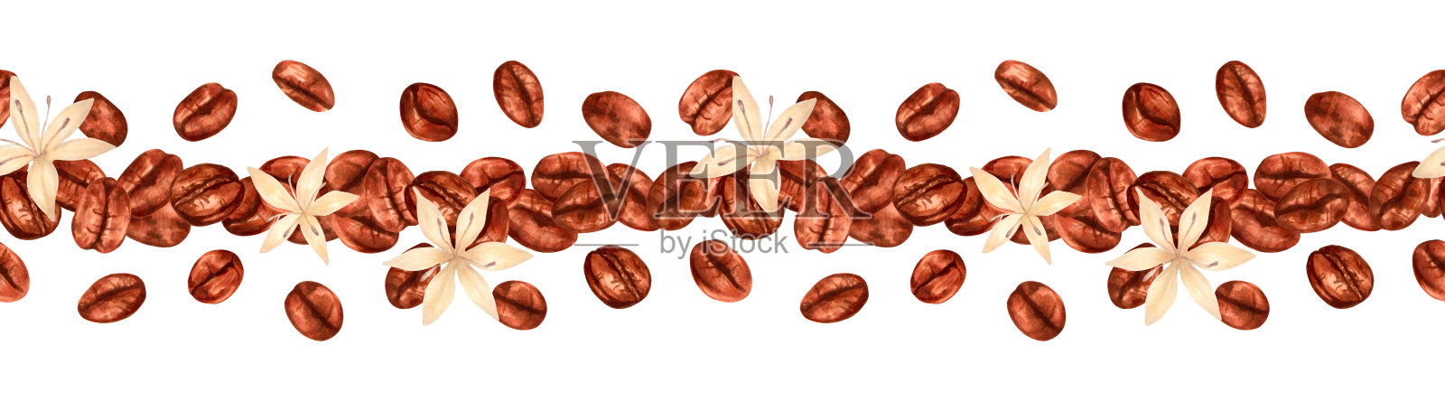 咖啡豆与花朵。横向无缝边框。水彩、马克笔插图。罗布斯塔和阿拉比卡品种的香气。咖啡日。手绘独立艺术。含咖啡因的天然香气饮品。插画图片素材