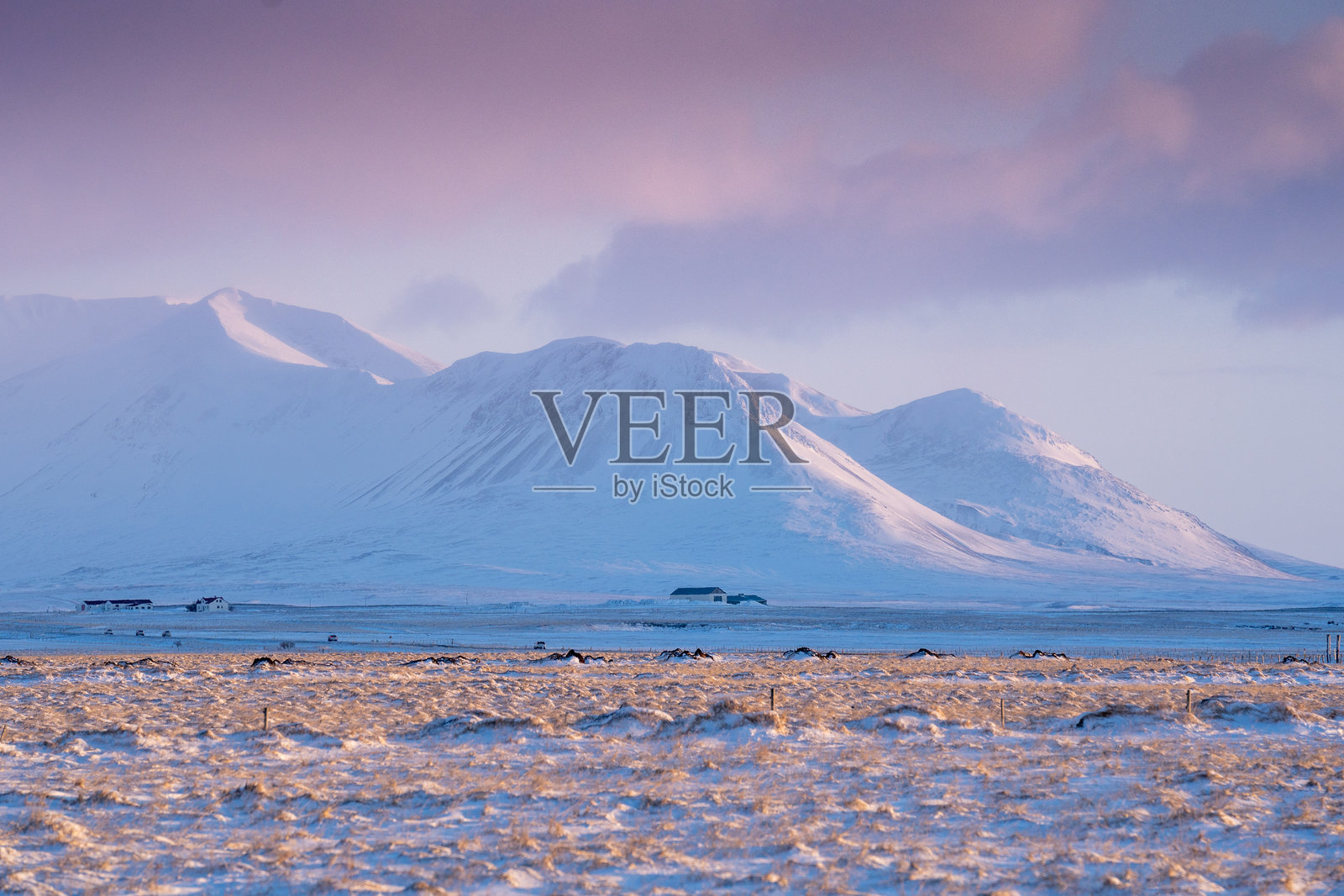 冰岛黎明时分的雪山照片摄影图片