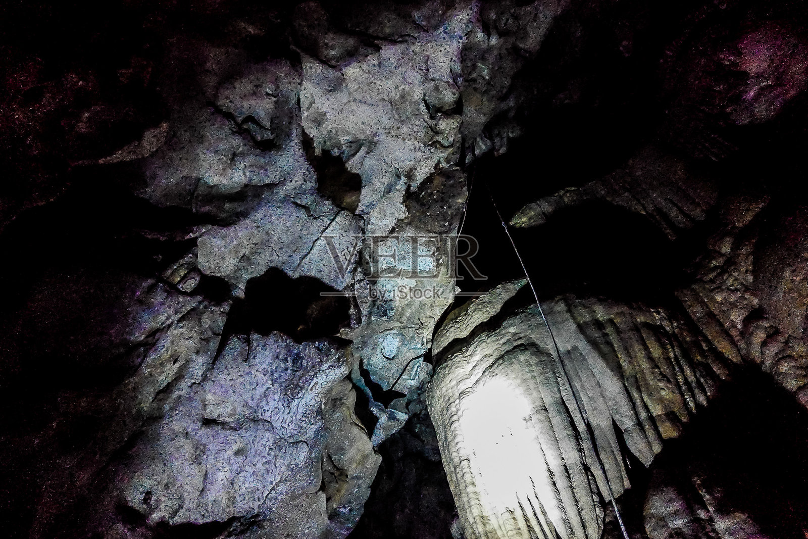 森林中的树木,数字照片作为背景照片摄影图片