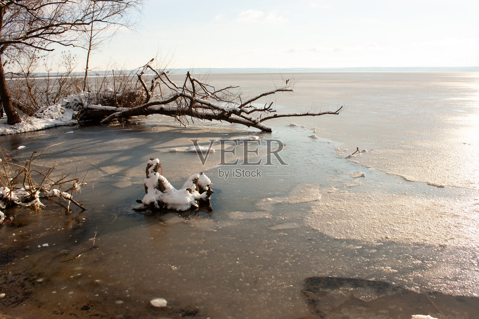 湖边的日落,背景有几棵树。照片摄影图片