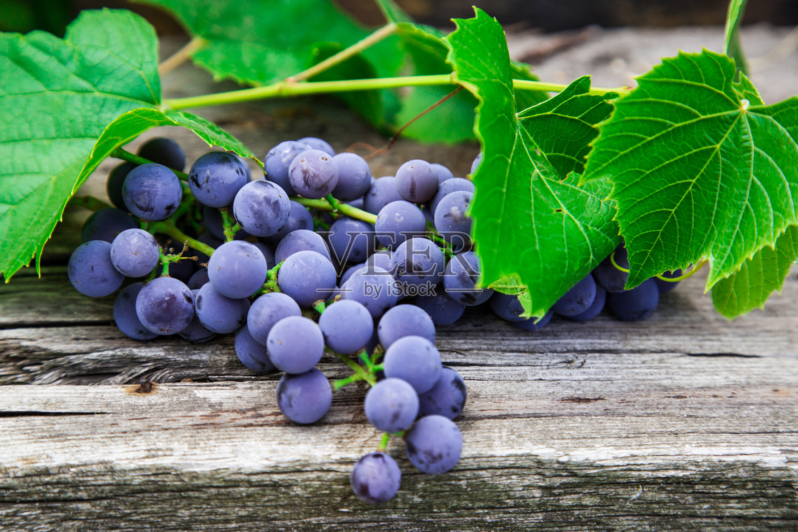 葡萄照片摄影图片