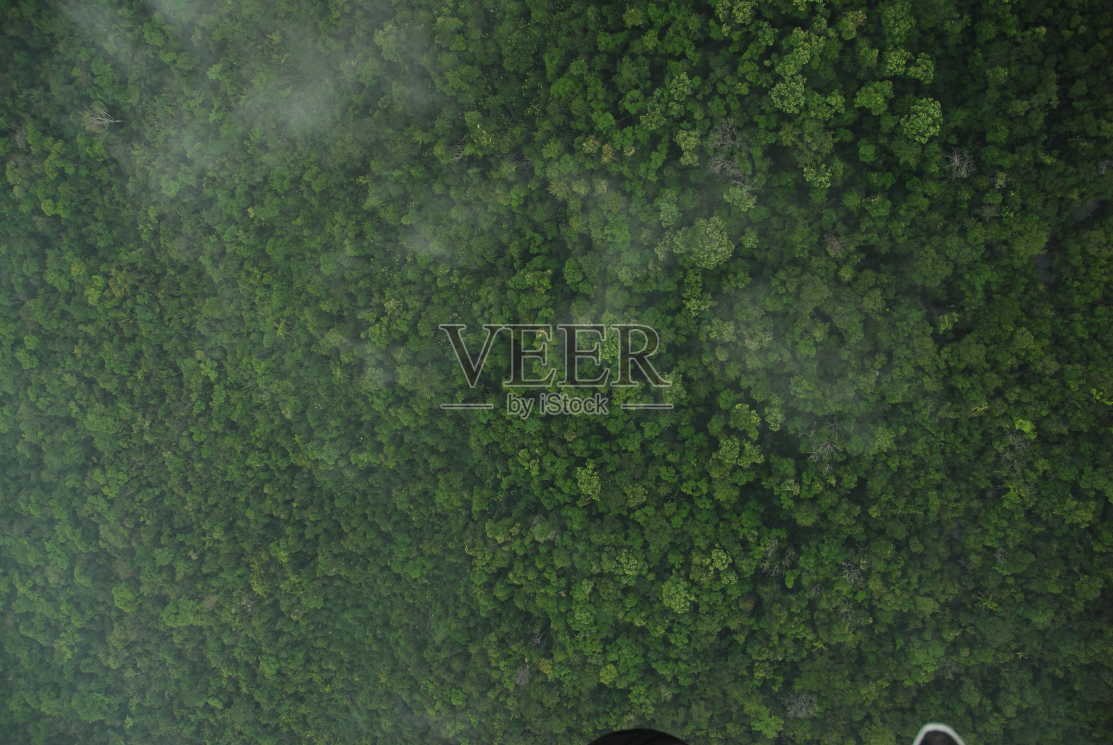 从轻型飞机拍摄的贝尔斯南部托莱多区热带雨林树冠的郁郁葱葱的绿色鸟瞰图照片摄影图片