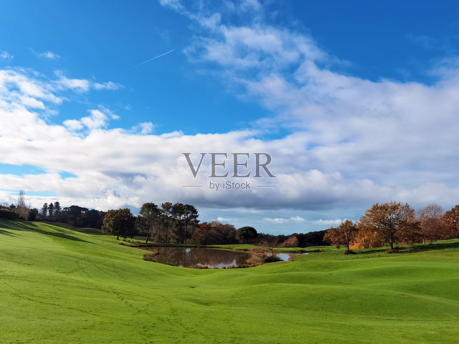 中间有湖泊的高尔夫球场照片摄影图片