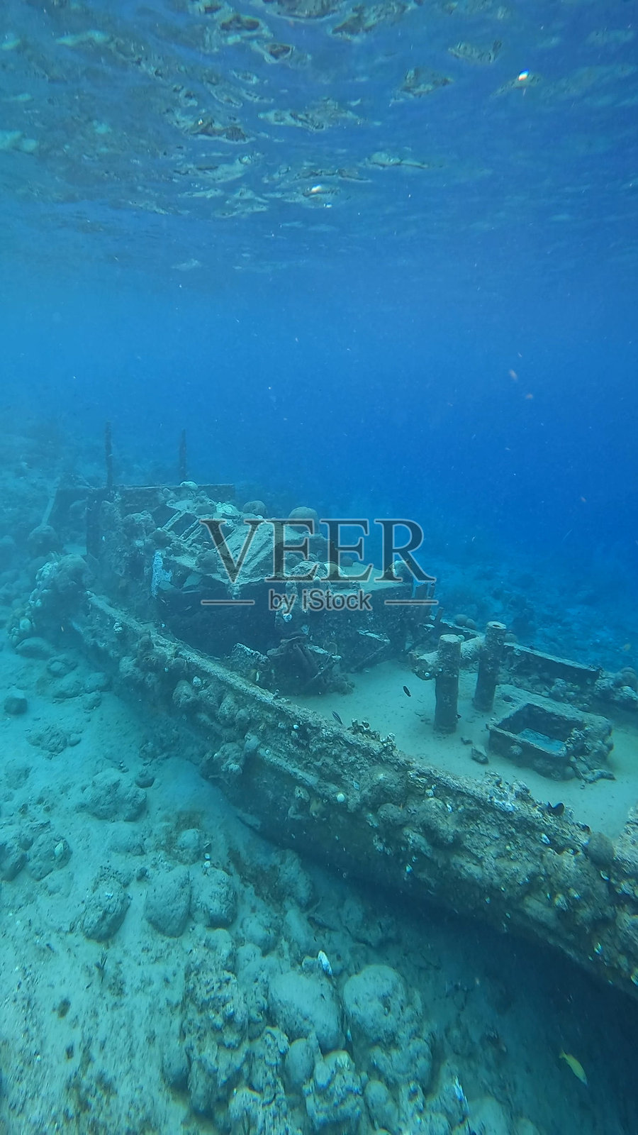 库拉索照片摄影图片