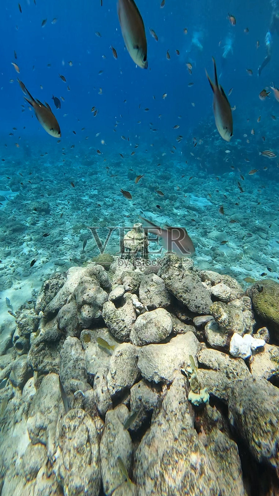 库拉索照片摄影图片