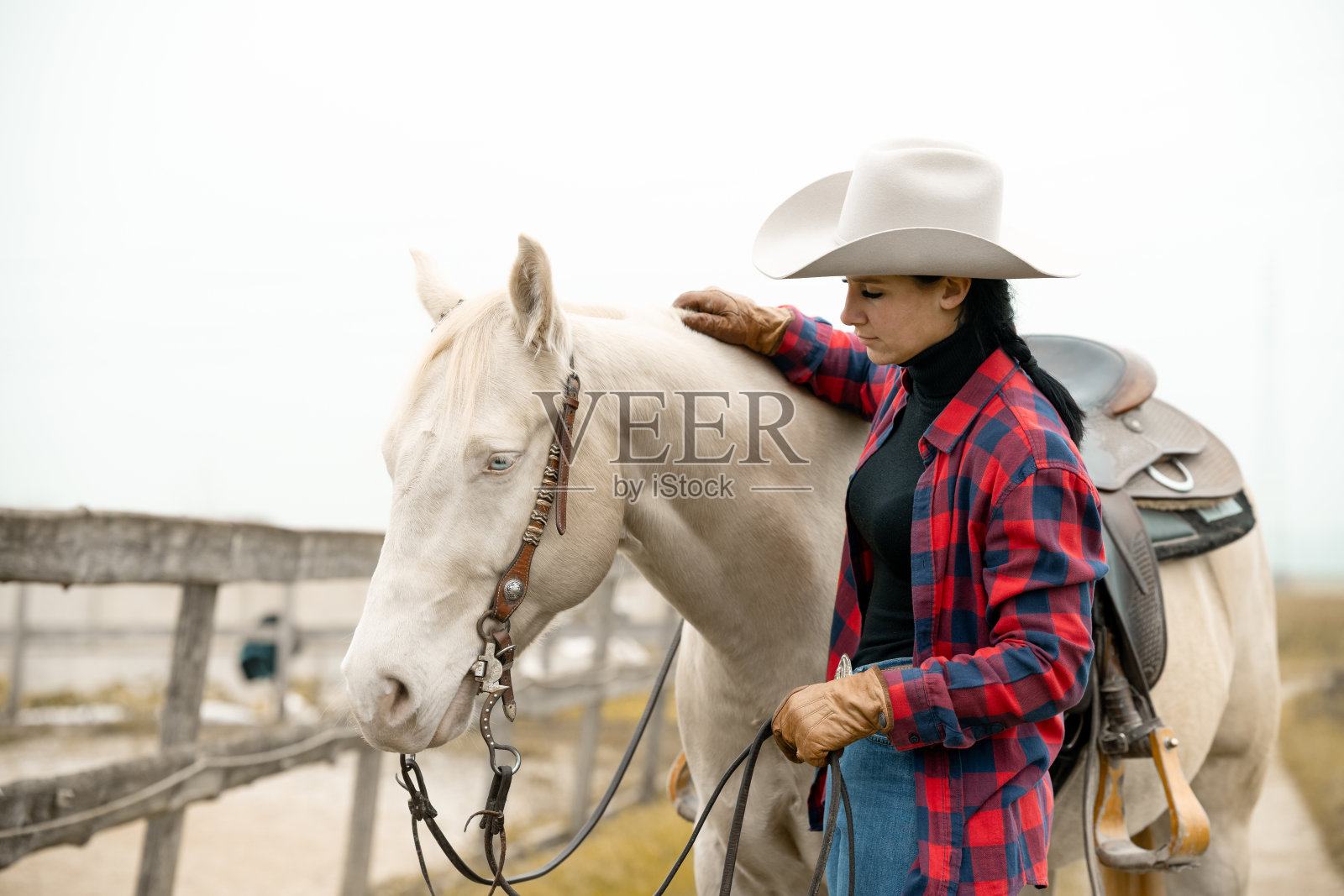 骑马的女性西方骑手与马匹照片摄影图片