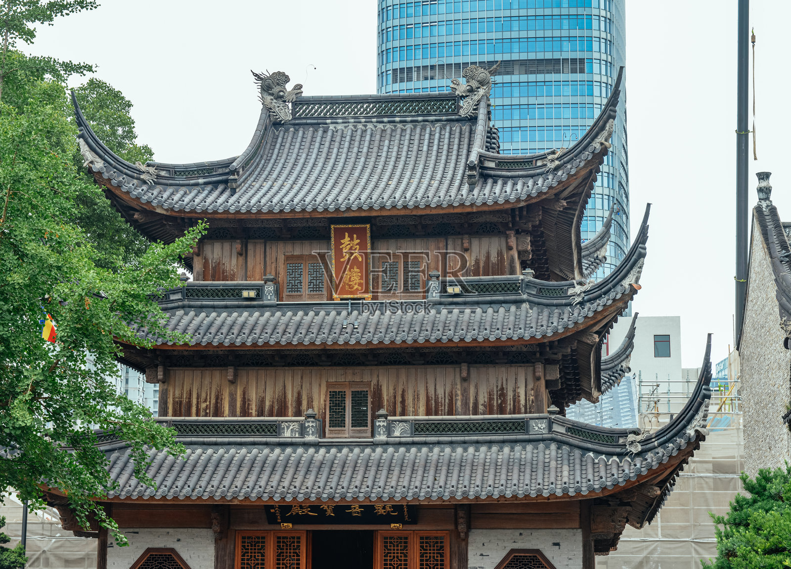 中国浙江宁波七塔寺的初夏风景照片摄影图片