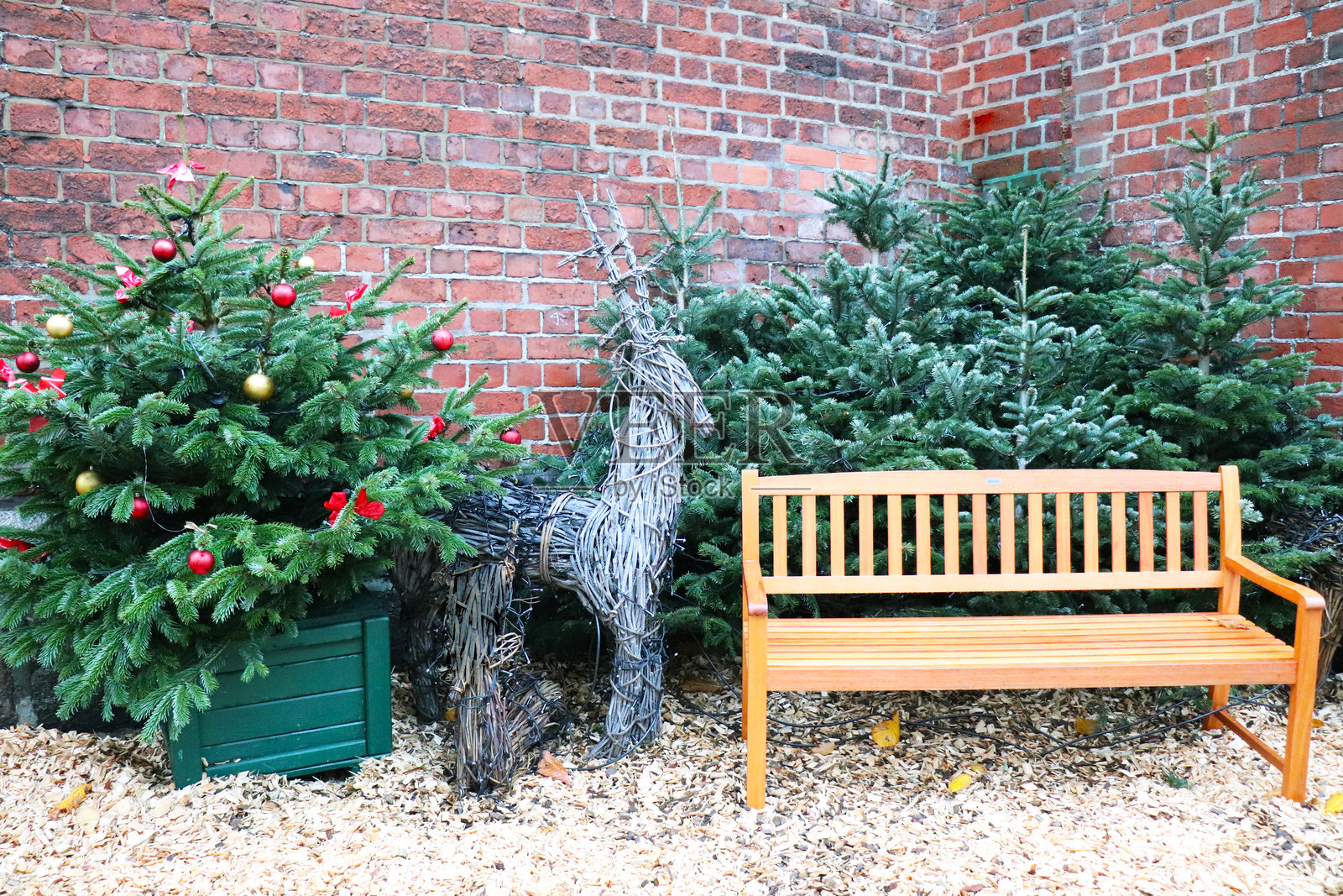 圣诞背景与圣诞鹿照片摄影图片