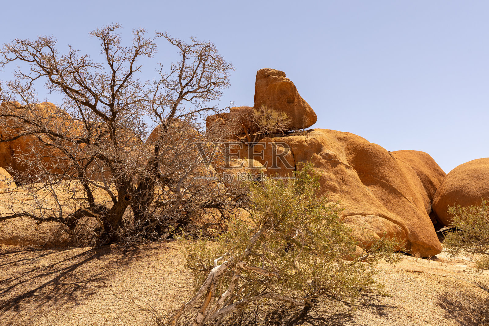 纳米比亚照片摄影图片