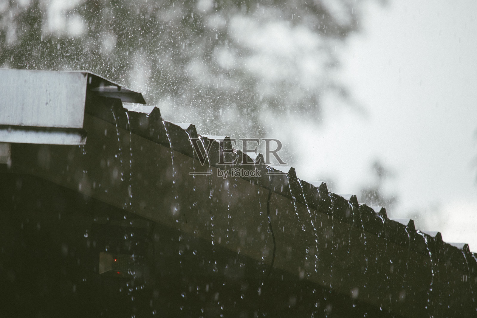 雨天照片摄影图片