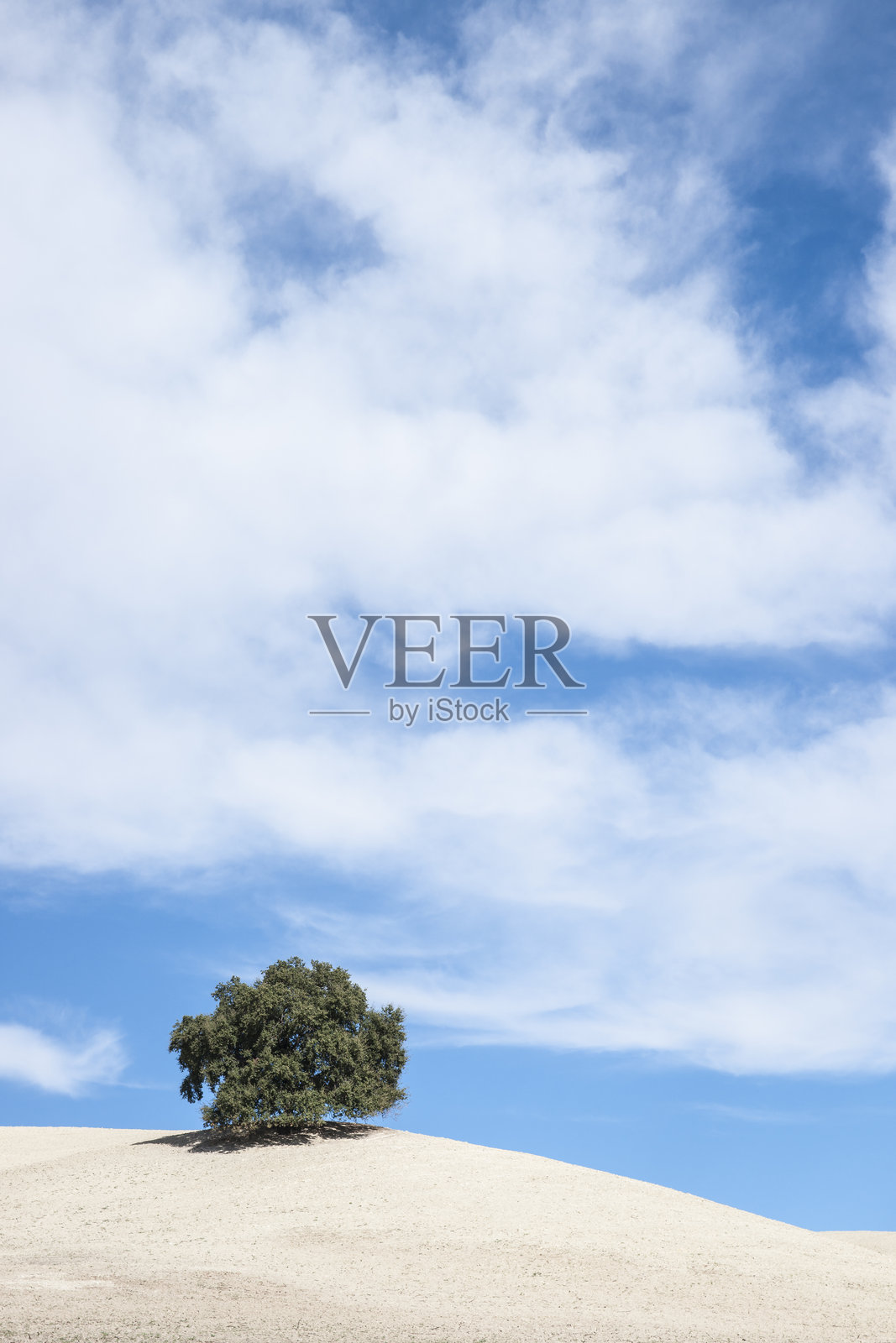 孤独的栎树矗立在为耕作而准备的耕地山丘上。西班牙照片摄影图片