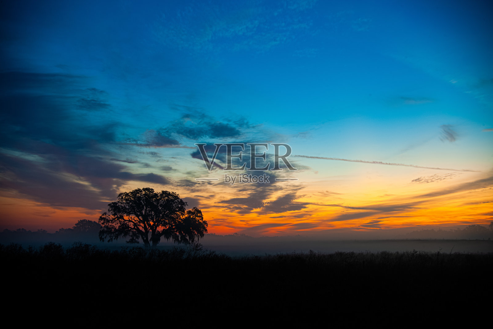 佛罗里达日出岭庄园照片摄影图片