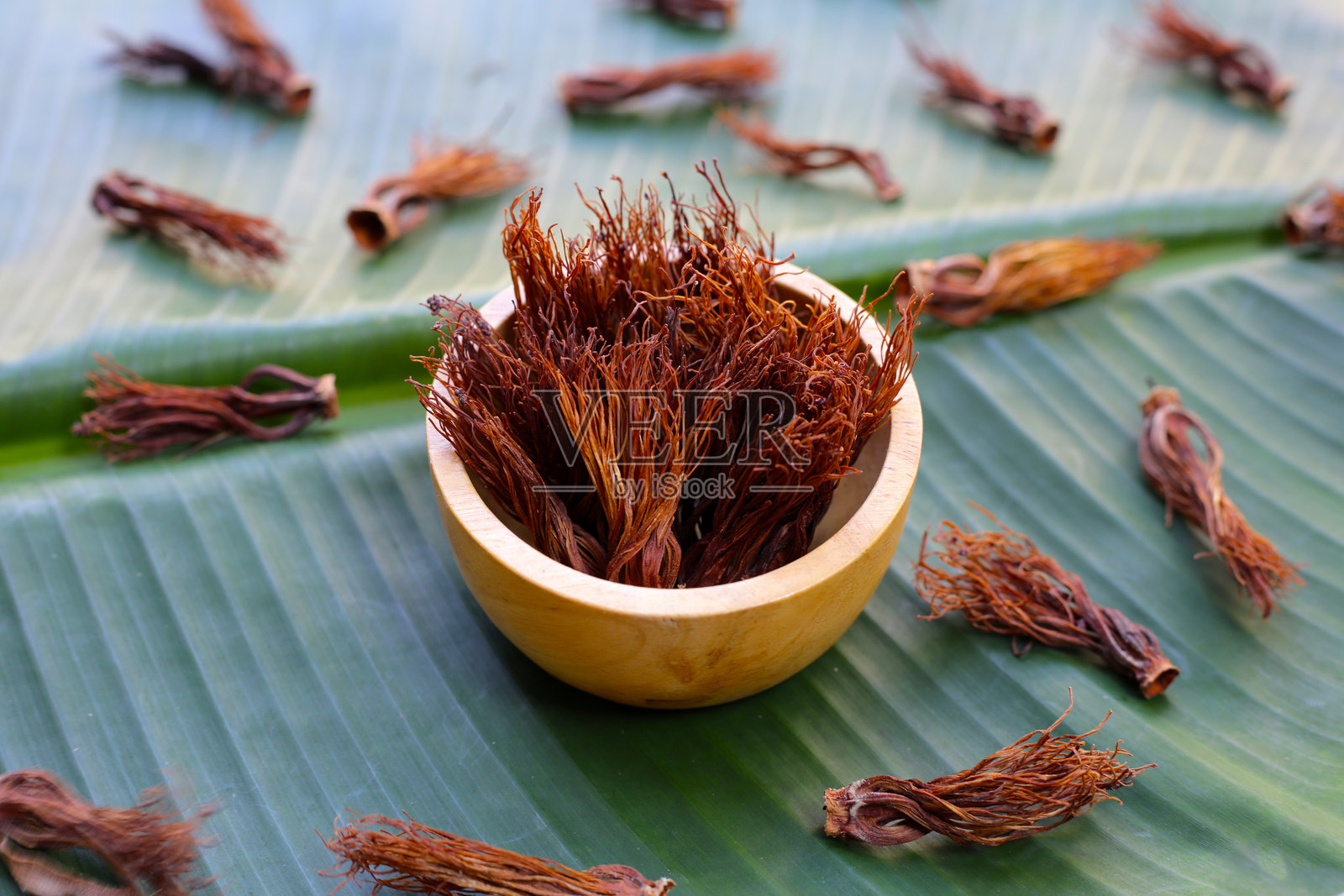 干燥的红棉花照片摄影图片