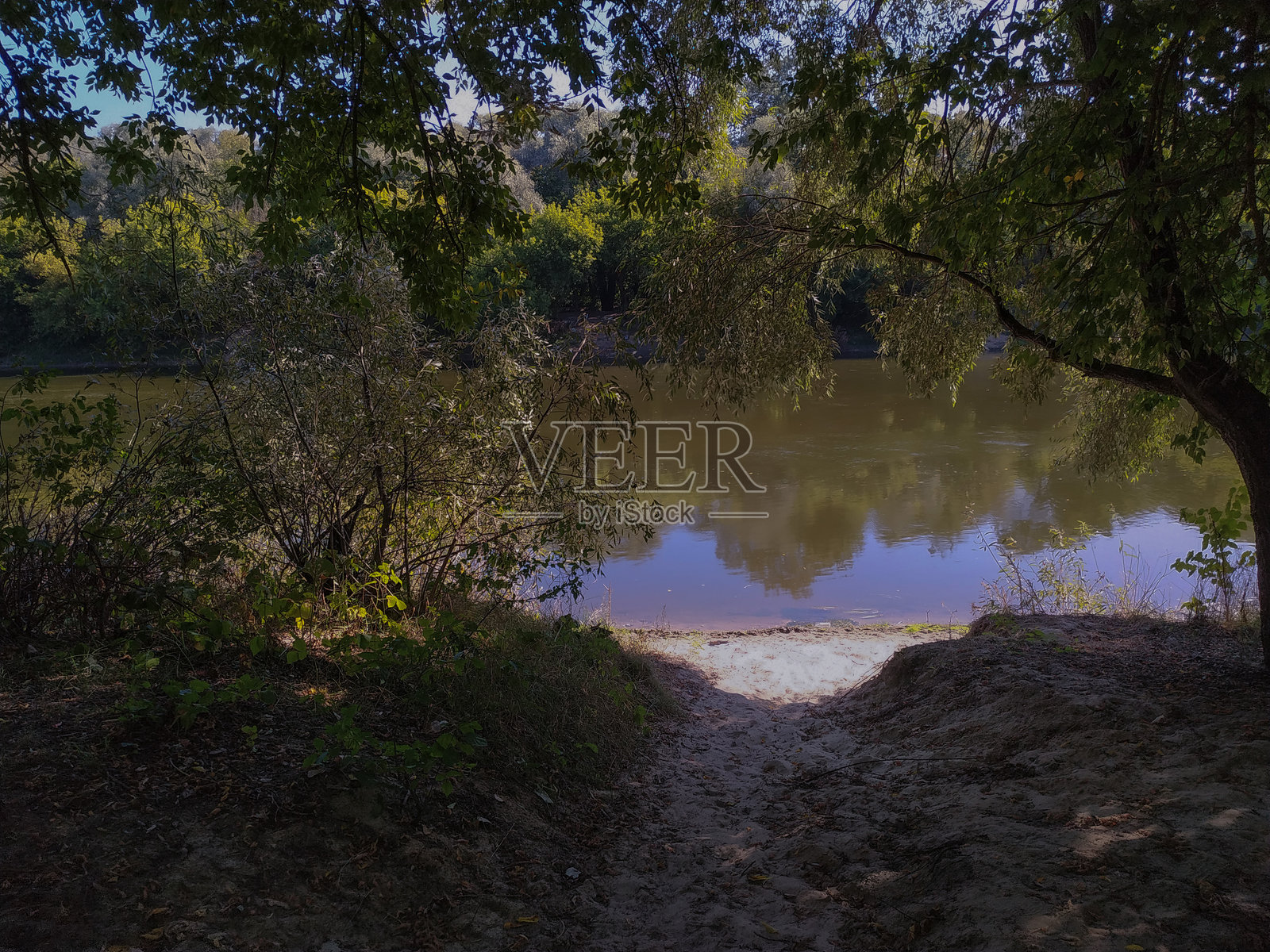 风景 - 森林 - 欧洲,罗马尼亚,苏恰瓦地区照片摄影图片