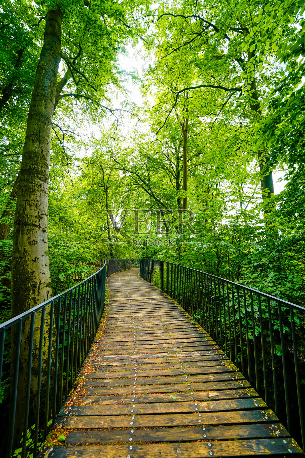 赫默的岩石海洋中的自然小径。索尔兰地区的森林生物栖息地。照片摄影图片
