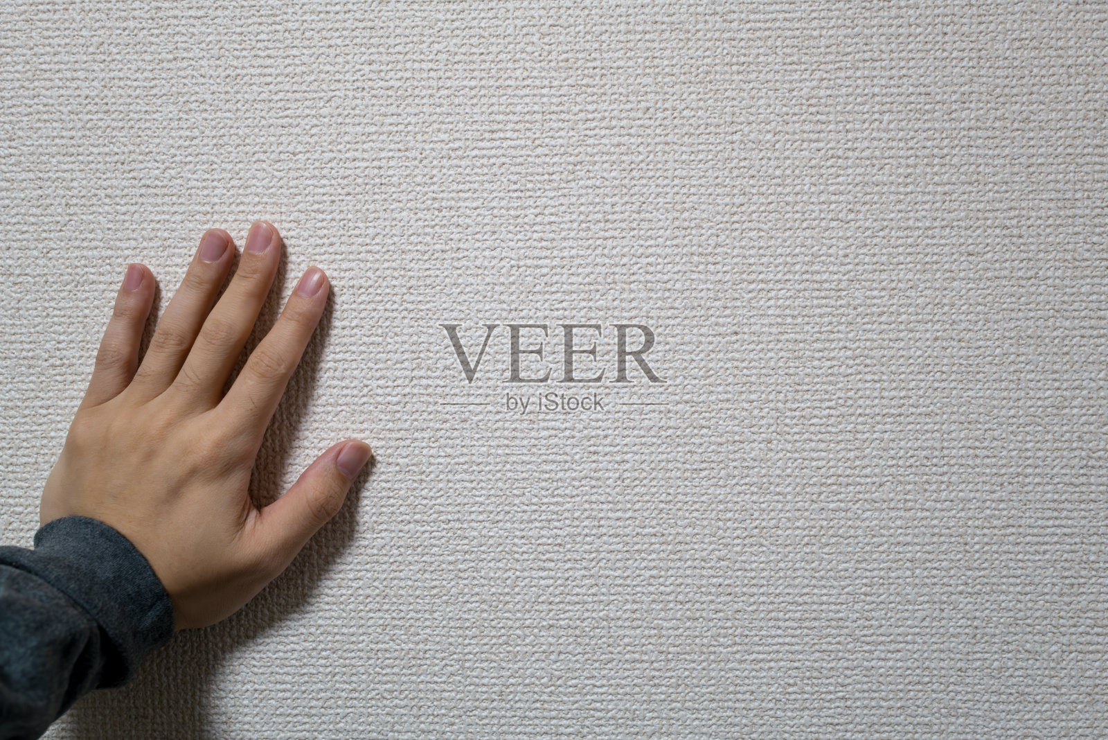 墙上有棕榈树的材料。照片摄影图片