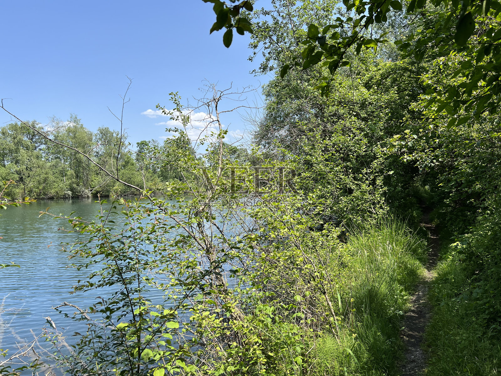 奥尔特莱因自然公园(奥地利卢斯特瑙)的运动和休闲步道照片摄影图片