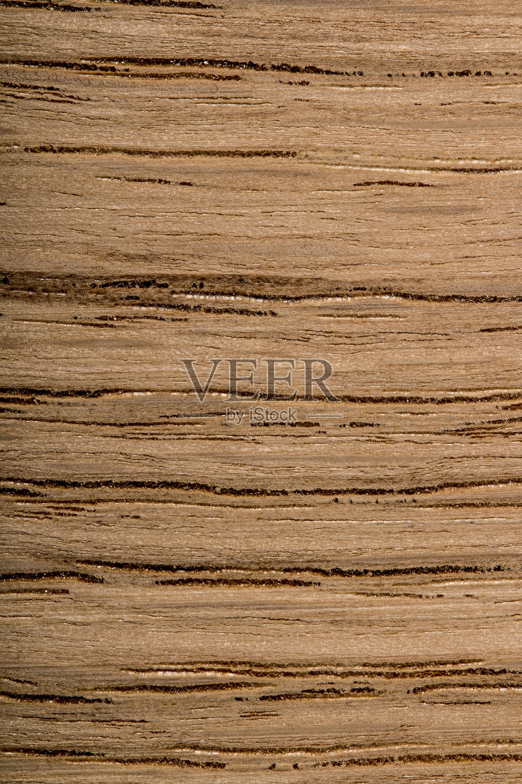 浅橡木特写照片摄影图片