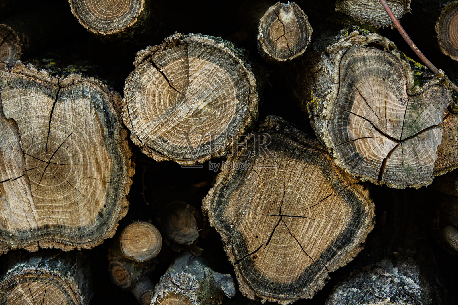 森林中的木材作为背景。堆放的柴火。照片摄影图片