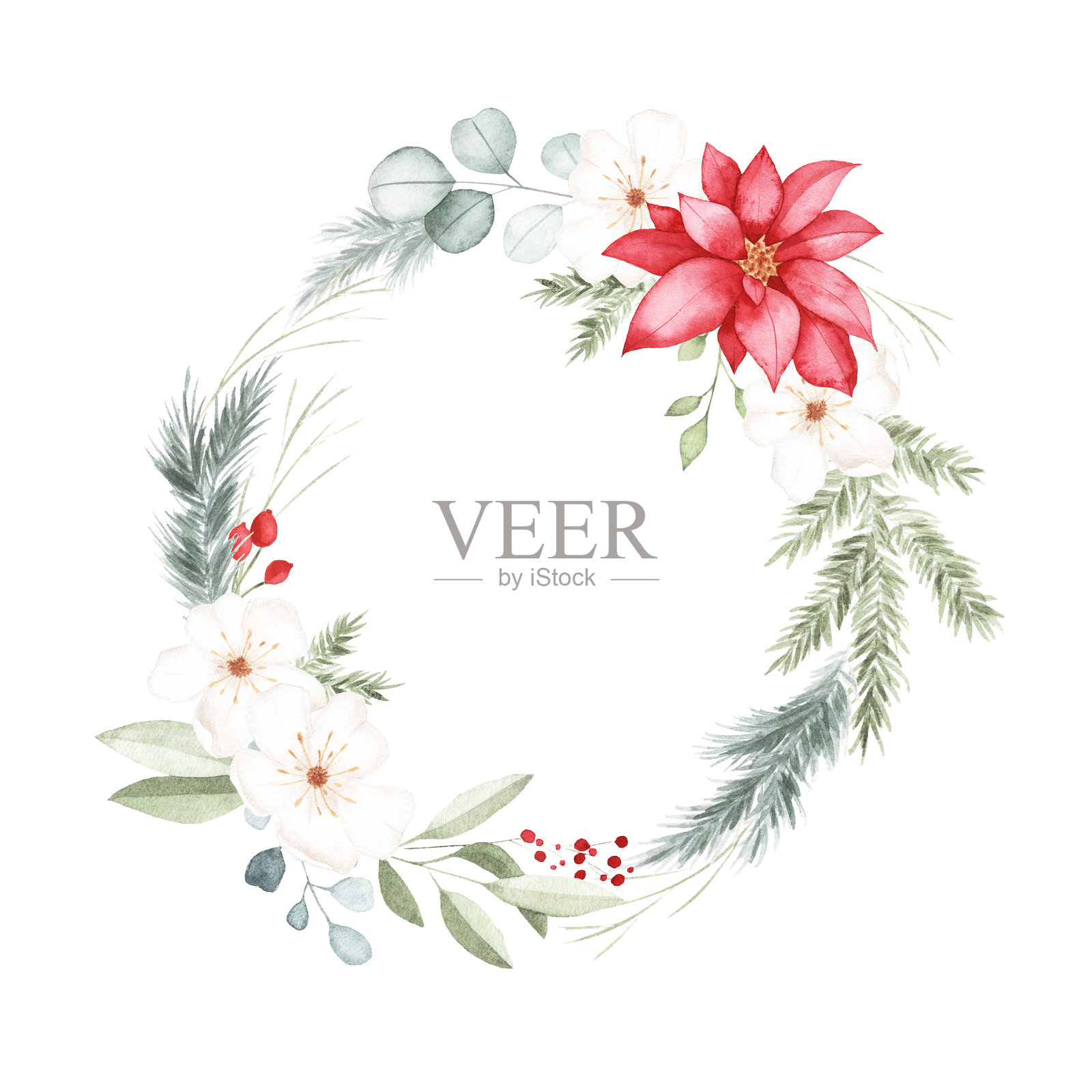 水彩冬季花环,配有一朵圣诞红花和绿叶插画图片素材