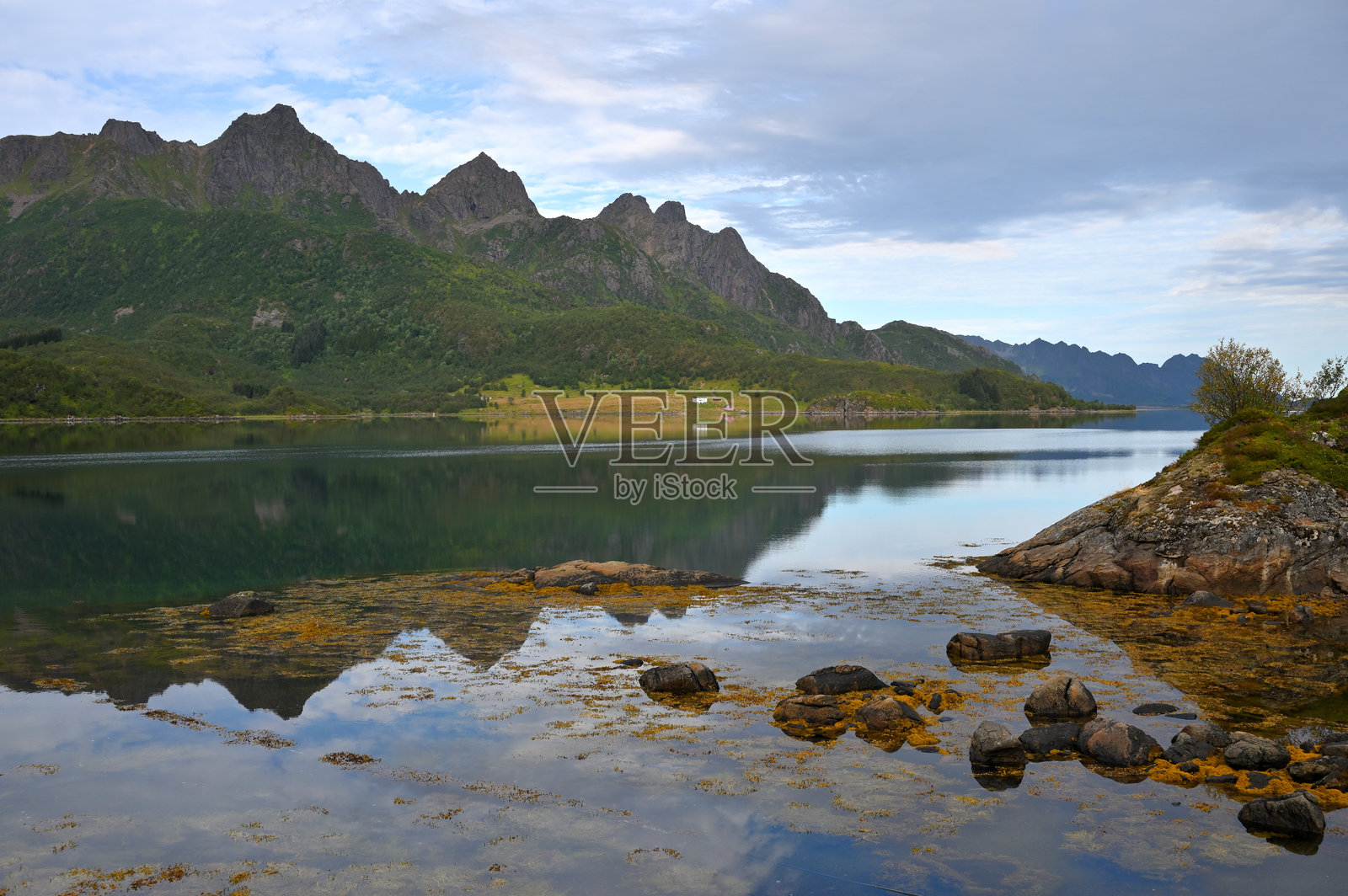 洛弗敦群岛峡湾岸边的石头和岩石。照片摄影图片