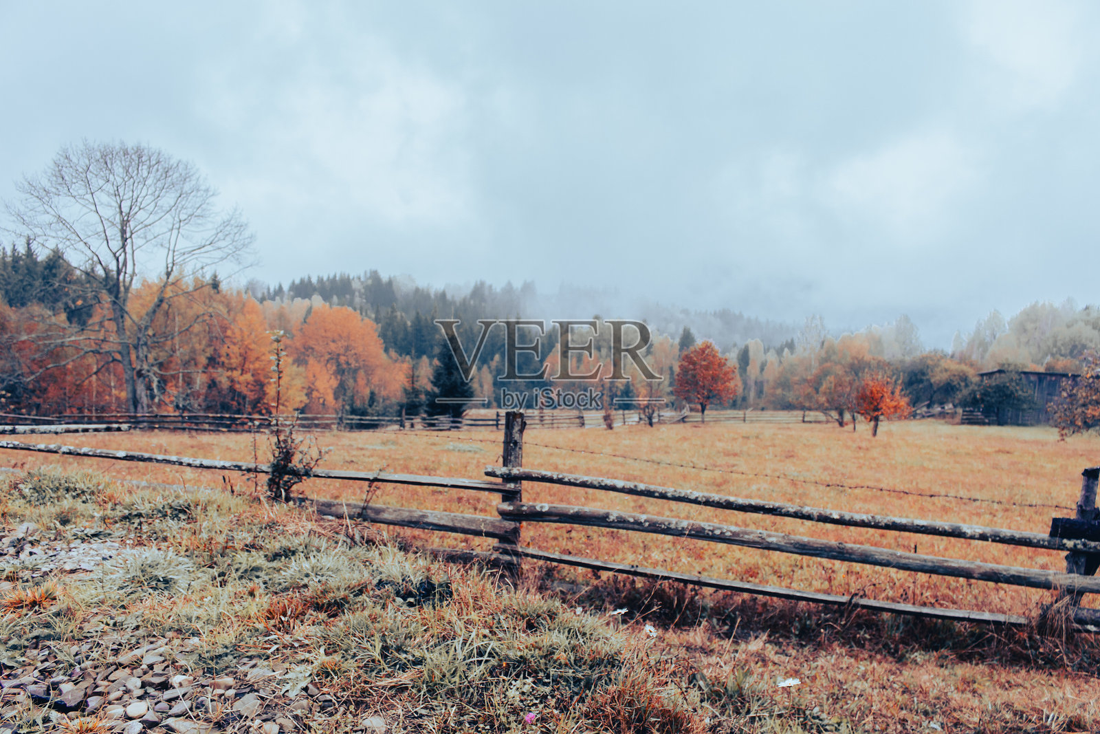 喀尔巴阡山脉的秋季风景。宁静的乡村景观,秋季森林和木栅栏。空旷的牧场,雾气缭绕的山脉和森林。照片摄影图片