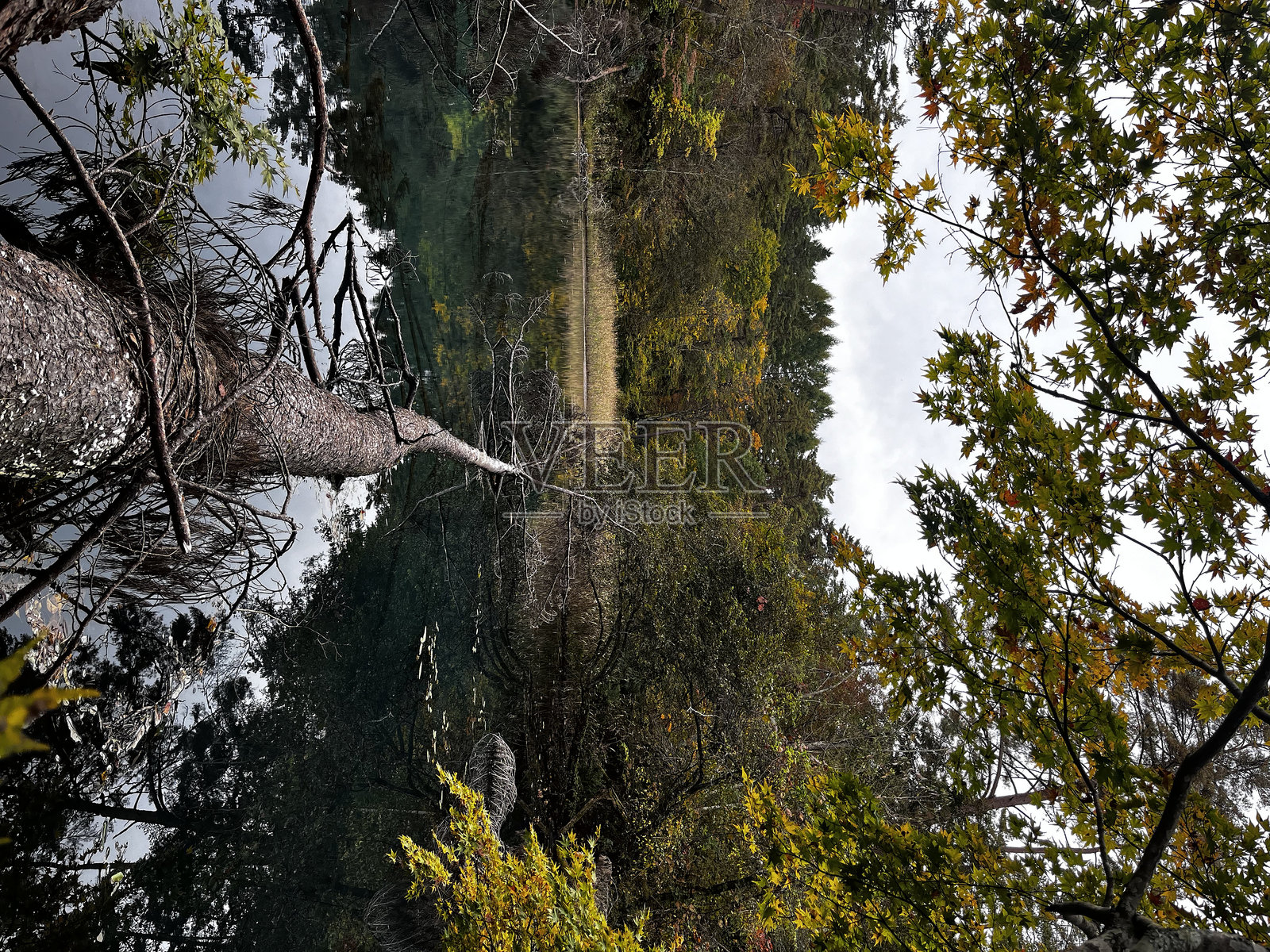 福岛的自然照片摄影图片