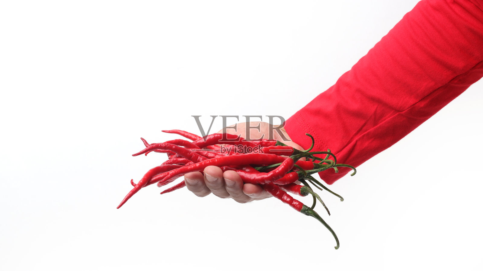 手握卷曲的红辣椒照片摄影图片