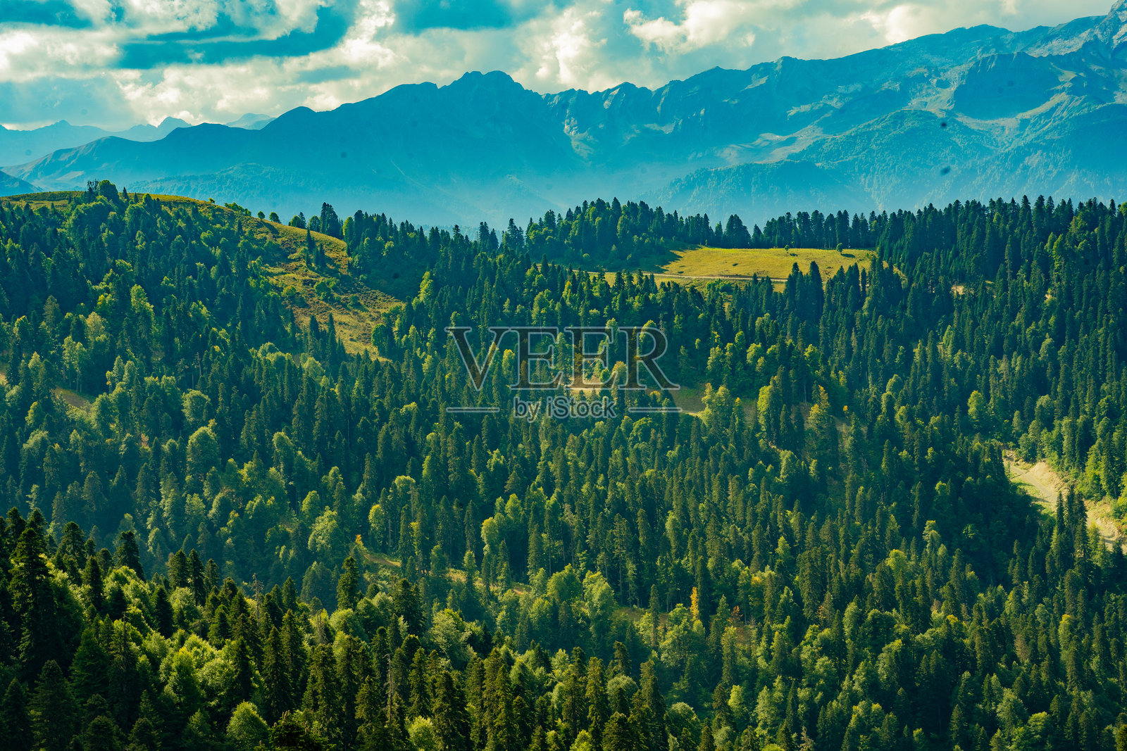 山中的森林照片摄影图片