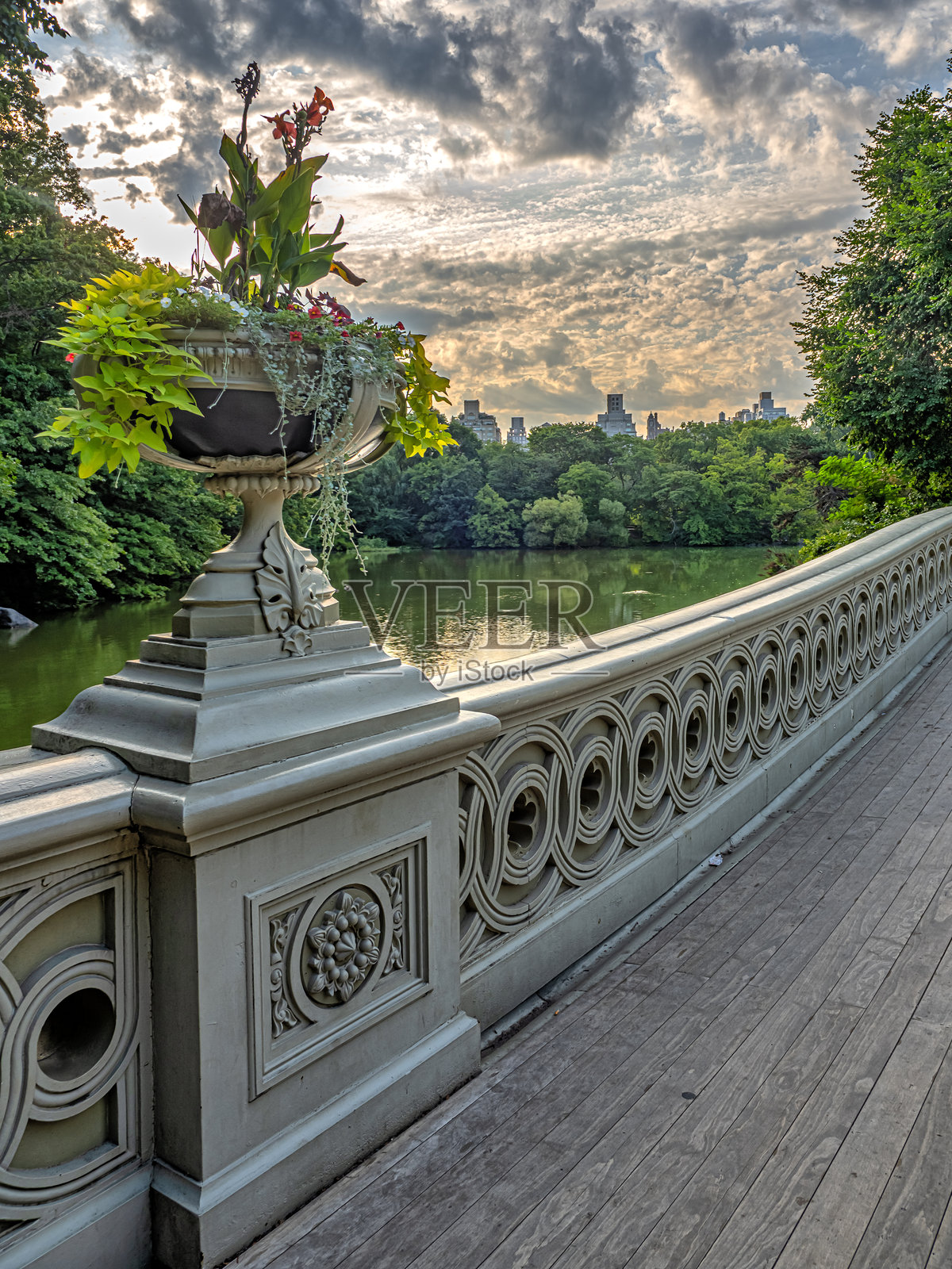 弓桥,初夏的清晨照片摄影图片