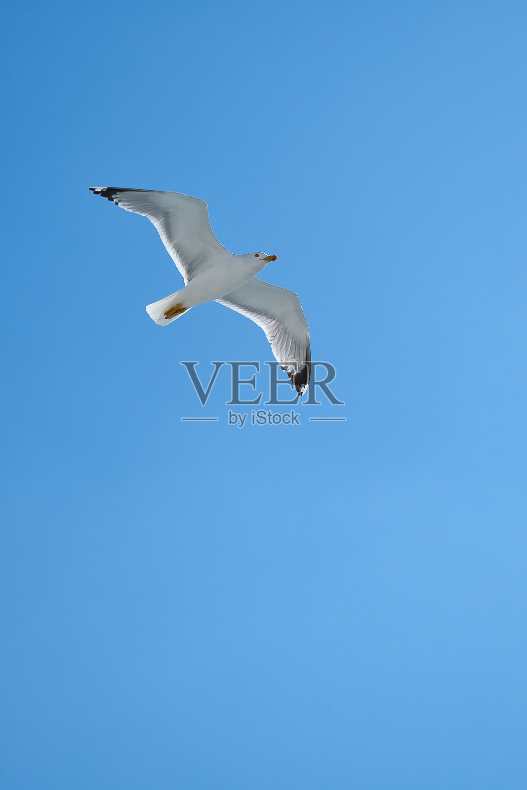 伊兹密尔的城市摄影照片摄影图片