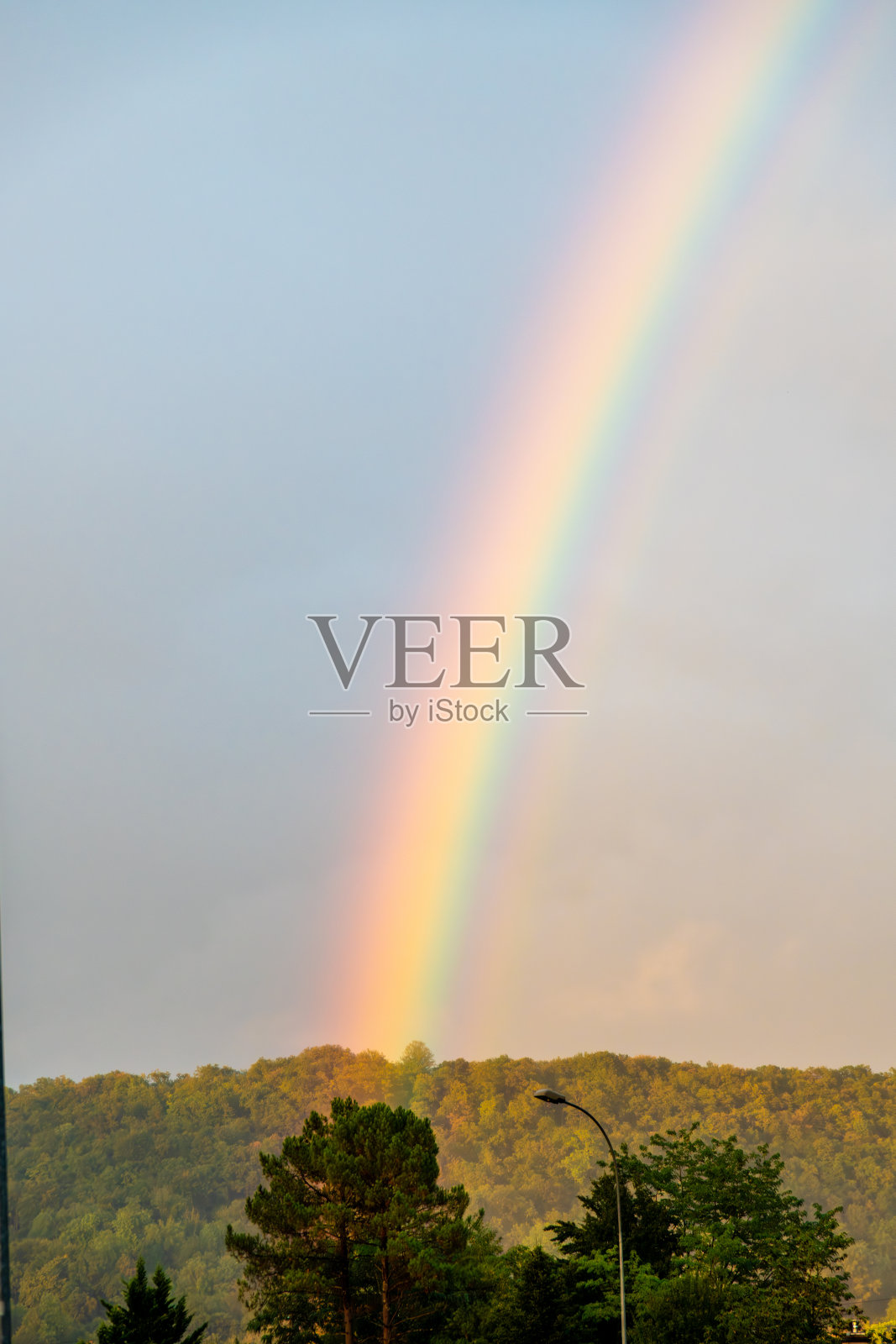 森林山丘上方的生动彩虹,光线和色彩对比鲜明照片摄影图片