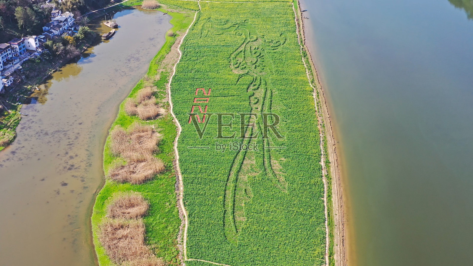 新安江风景画廊景区,油菜花田,徽州风格建筑,深渡码头,歙县,黄山,安徽省,中国,亚洲。照片摄影图片