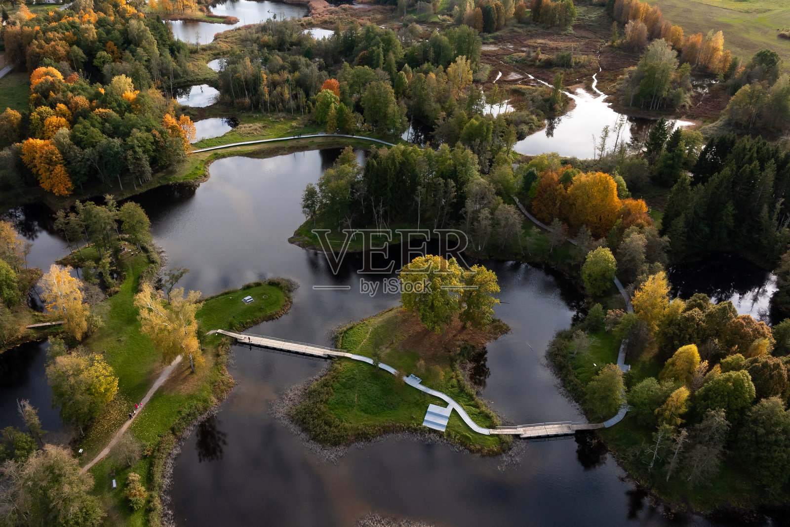 秋季互联湖泊和森林的鸟瞰图照片摄影图片