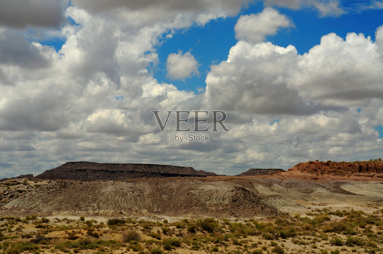 荒凉的景观:亚利桑那州化石森林国家公园照片摄影图片