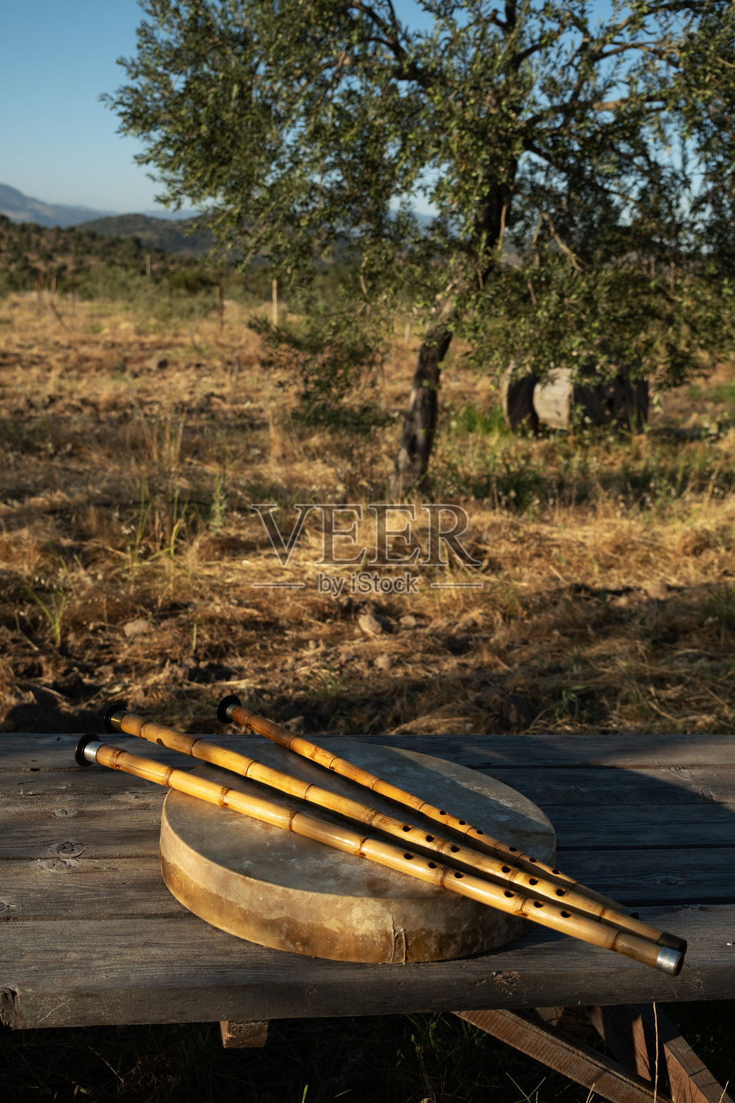 橄榄树林中木桌上的奈伊长笛和框鼓照片摄影图片
