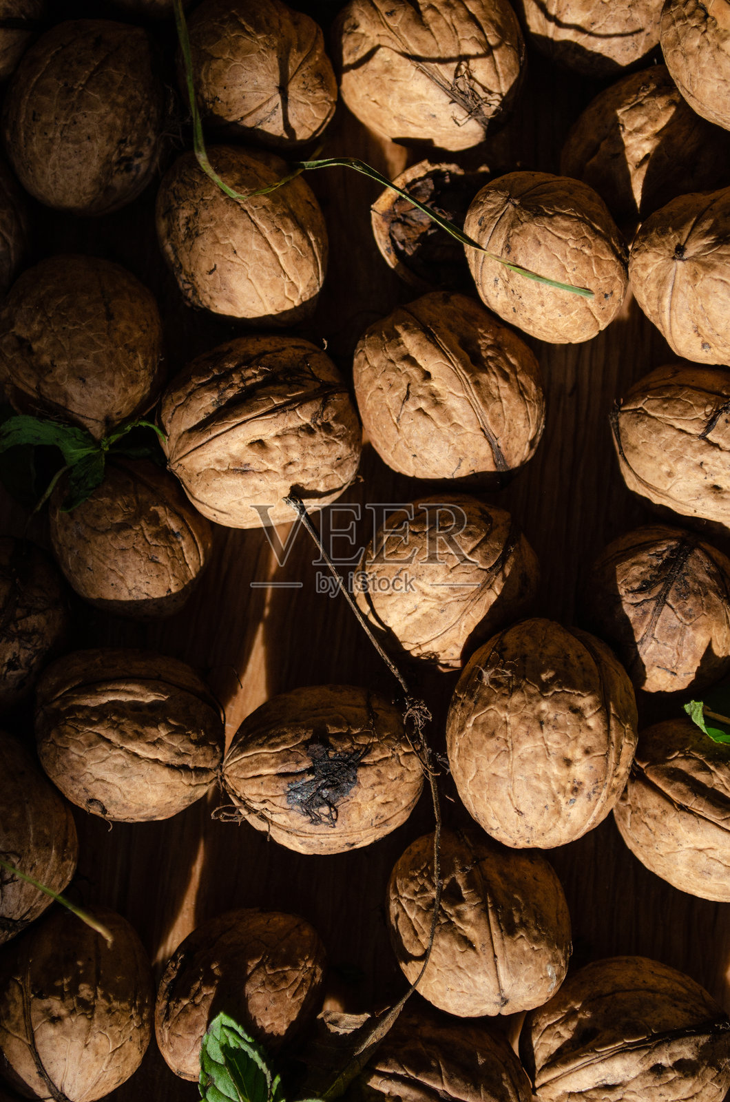 刚刚收获的核桃背景照片摄影图片
