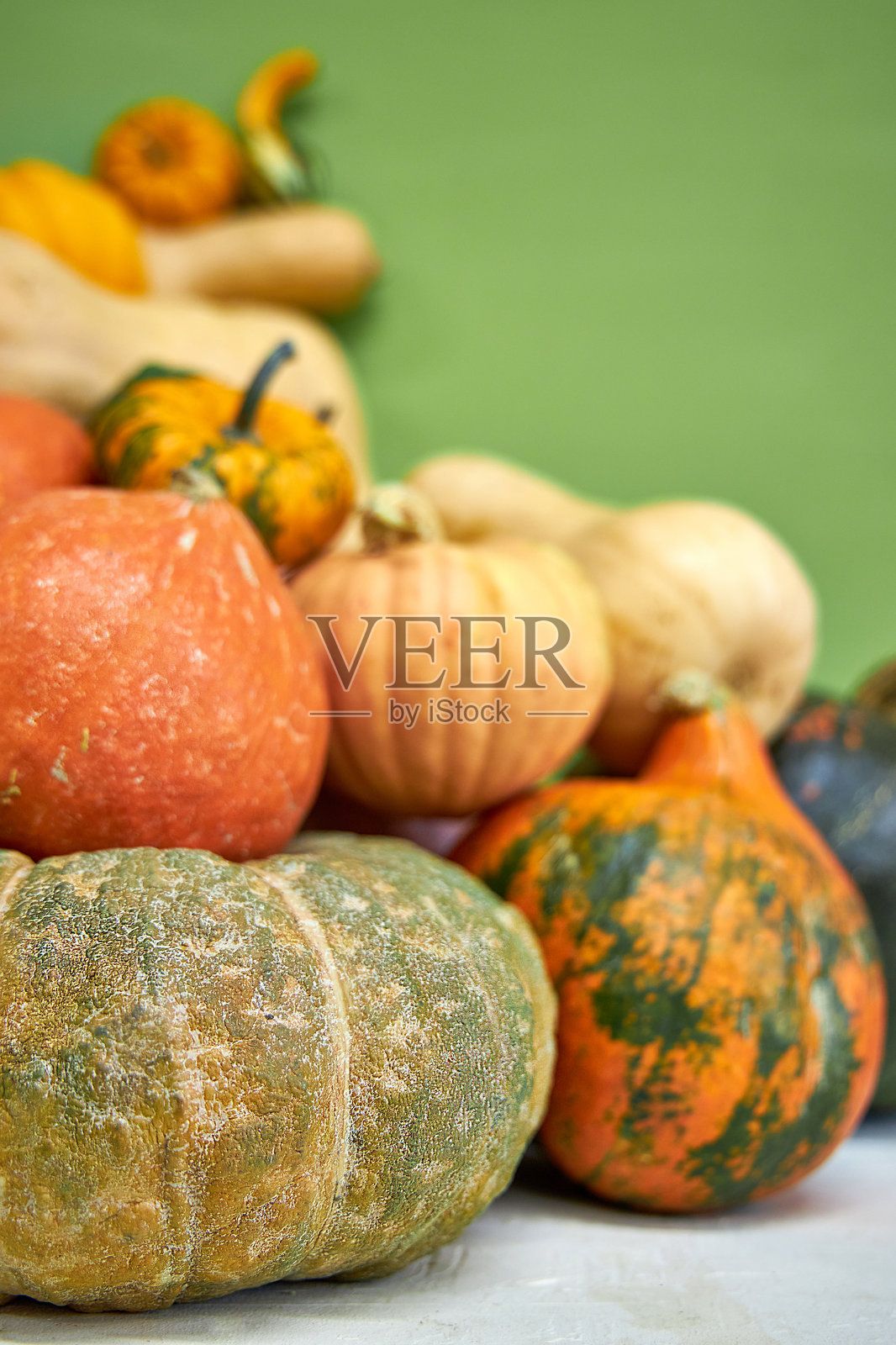 秋季静物,包含不同大小和颜色的南瓜 选择不同大小的南瓜和葫芦照片摄影图片