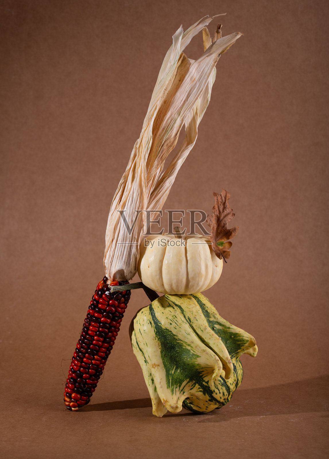 现代秋季静物摄影照片摄影图片