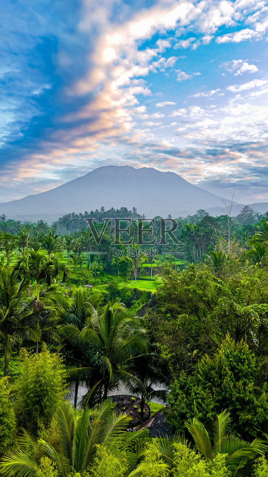 日出时分的阿贡山鸟瞰,阿贡火山与稻田的美丽景色,西德门谷的梯田鸟瞰。照片摄影图片