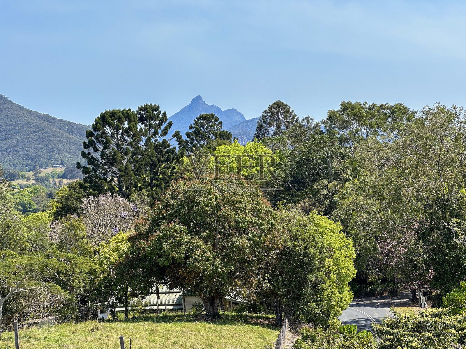 澳大利亚新南威尔士州穆伦比姆比的沃伦宾风景山丘景观照片摄影图片