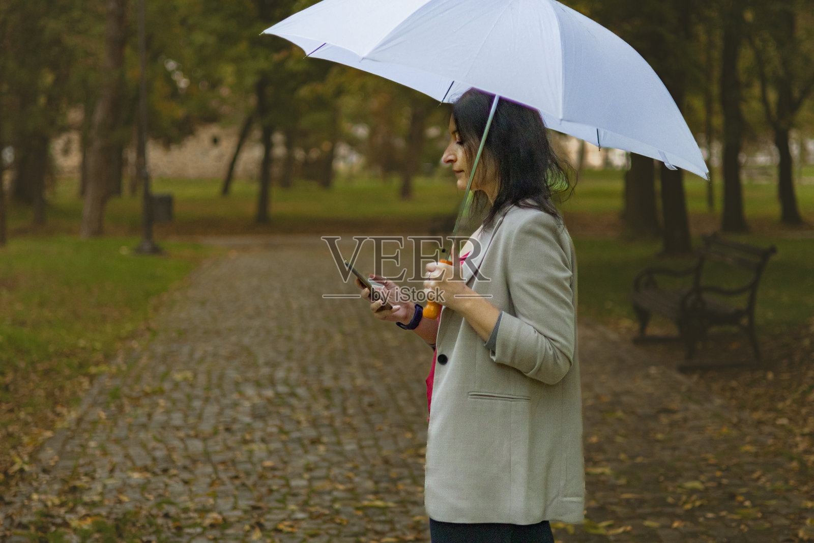 中年女商人在秋天的公共公园里,雨天使用手机进行电子银行或投资,手里还撑着伞。照片摄影图片
