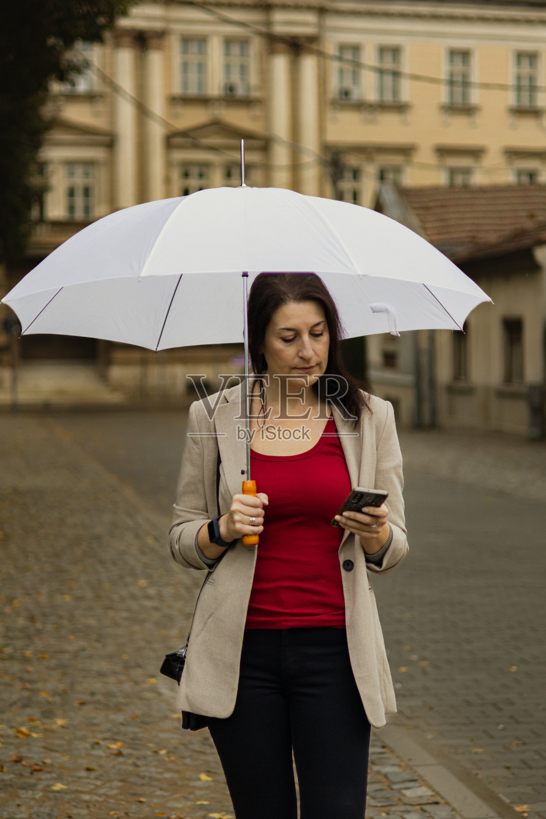 中年女商人在秋天的公共公园里,雨天使用手机进行电子银行或投资,手里还撑着伞。照片摄影图片